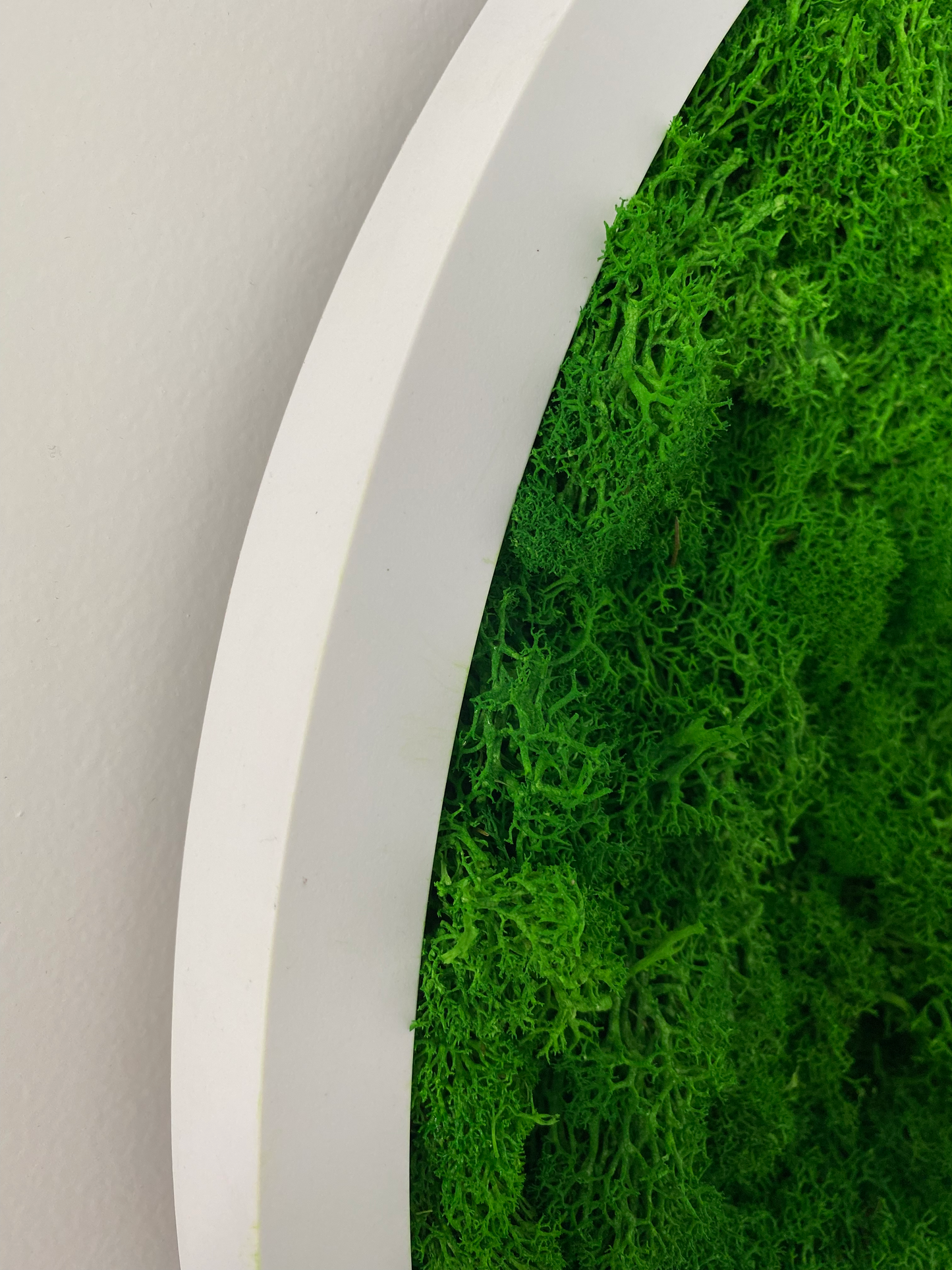 SaniSupreme Mosschilderij mosdecoratie rond witte kunsstof rand 53 cm. doorsnede